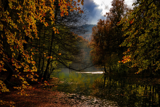 Обои картинки фото природа, реки, озера, лес, река