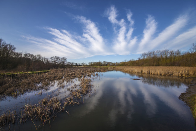 Обои картинки фото природа, реки, озера, лес, река