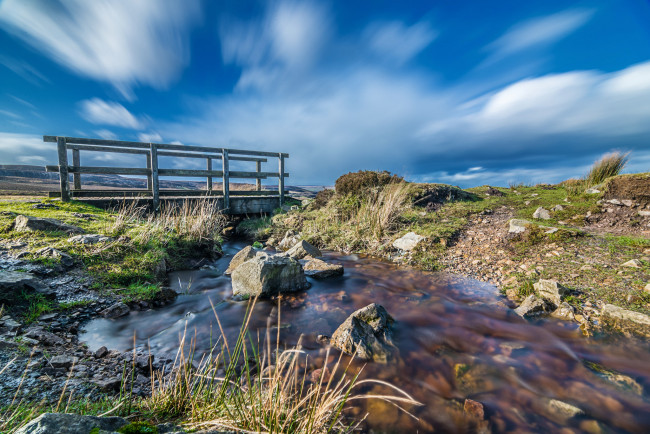 Обои картинки фото природа, реки, озера, лес, река