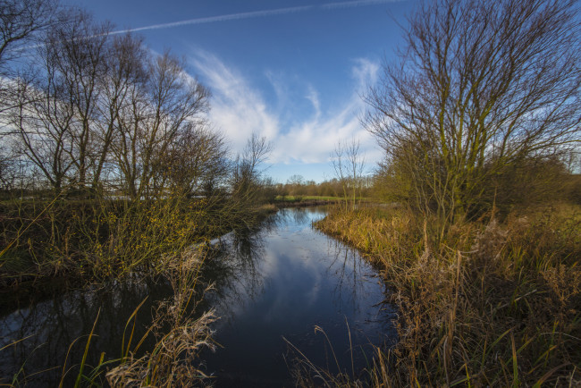 Обои картинки фото природа, реки, озера, лес, река