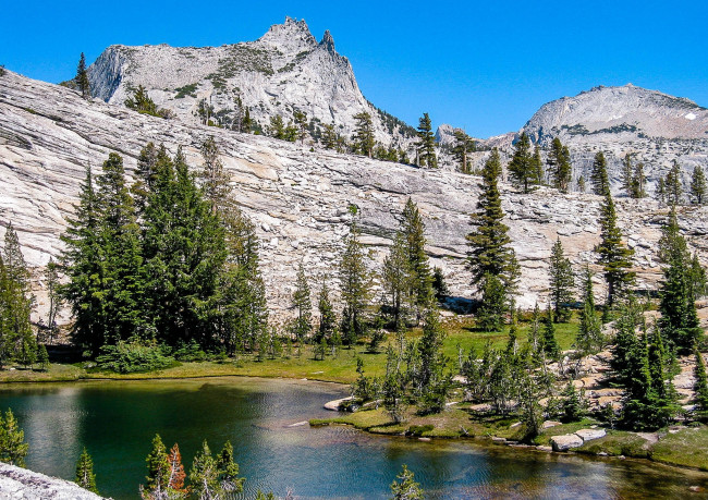 Обои картинки фото природа, реки, озера, лес, река