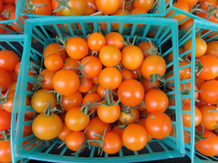 Картинка еда помидоры томаты