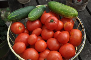 Картинка еда овощи томаты помидоры