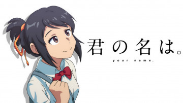 Картинка аниме kimi+no+na+wa грудь фон взгляд девушка