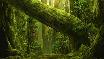 Картинка аниме sword+art+online лес