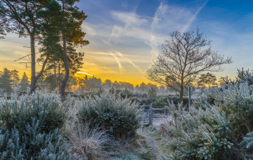 Картинка природа восходы закаты рассвет