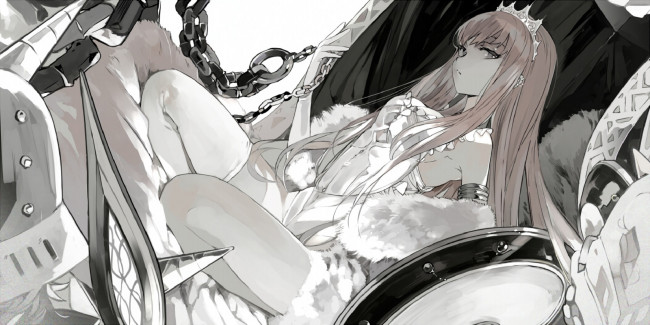 Обои картинки фото аниме, fate, stay night, medb