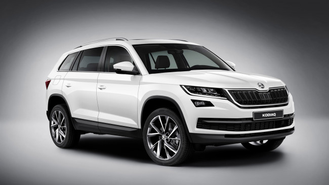 Обои картинки фото skoda kodiaq 2017, автомобили, skoda, kodiaq, 2017, внедорожник