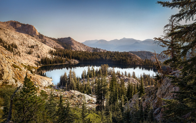 Обои картинки фото природа, реки, озера, река, лес