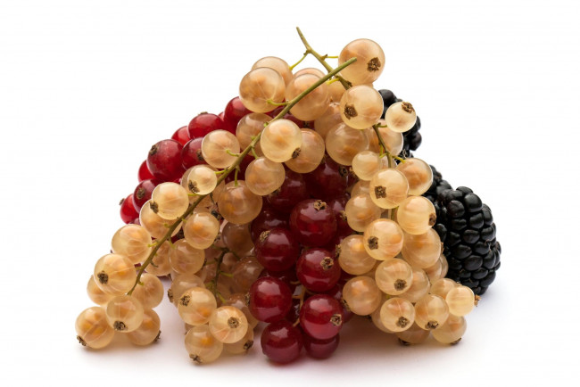 Обои картинки фото еда, смородина, ягодкы