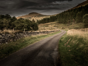 Картинка природа дороги простор