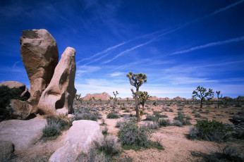 Картинка природа пустыни простор