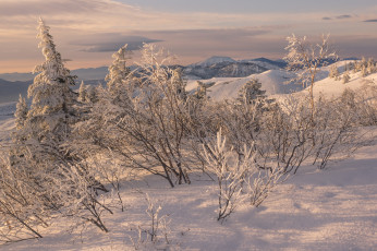 Картинка природа зима простор