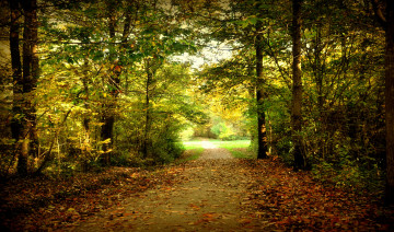 Картинка природа дороги простор