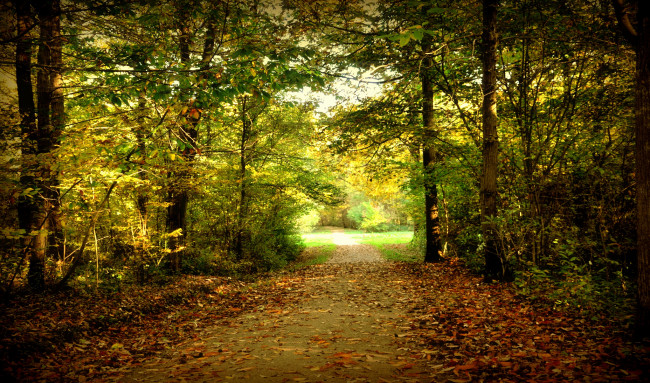 Обои картинки фото природа, дороги, простор