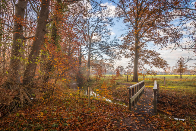 Обои картинки фото природа, пейзажи, простор