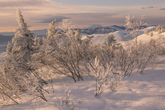 Обои картинки фото природа, зима, простор