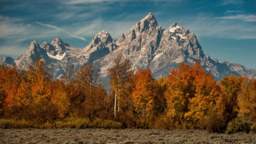 Картинка природа горы сша национальный парк гранд-титон