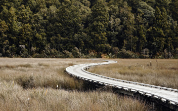 Картинка природа дороги дорога
