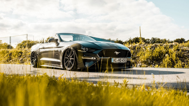 Обои картинки фото автомобили, mustang, ford