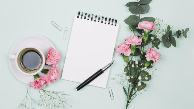 Обои картинки фото цветы, гвоздики, розовый