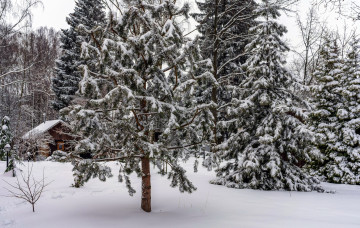 Картинка природа зима снег сугробы