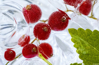 Картинка еда фрукты +ягоды ягоды