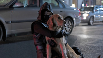 Картинка hawkeye+ мини–сериал+2021 кино+фильмы сериал coкoлиный глаз мини сeриал фантастика боевик криминал детектив hailee steinfeld kate bishop