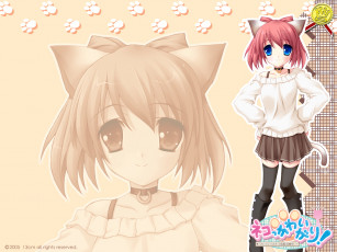 Картинка аниме *unknown другое