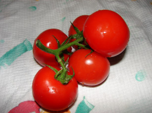 Картинка еда помидоры томаты