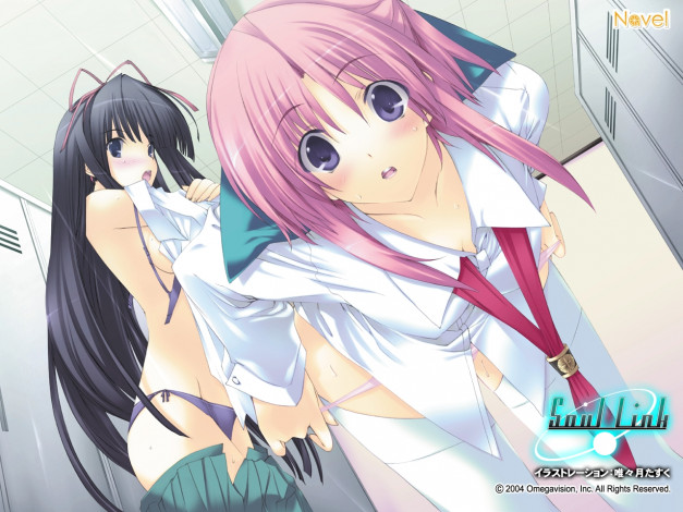 Обои картинки фото аниме, soul, link