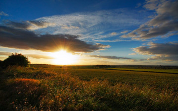 Картинка природа поля