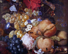обоя Ян, ван, хейсум, натюрморт, рисованные, jan, davidsz, de, heem
