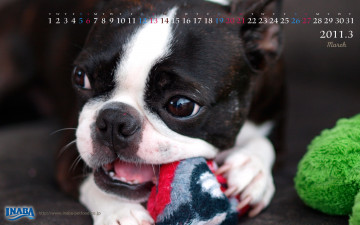 Картинка бренды inaba