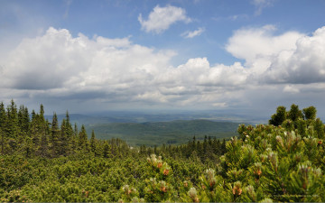 Картинка природа пейзажи