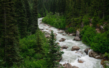 Картинка природа реки озера