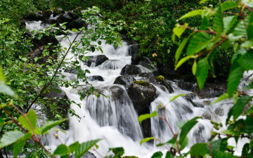 Картинка природа реки озера