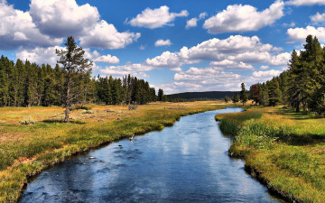 Картинка природа реки озера