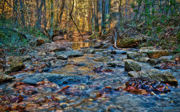 Картинка природа реки озера