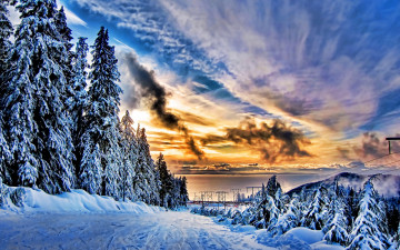 Картинка природа зима