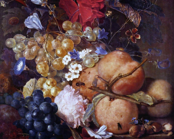 Обои картинки фото Ян, ван, хейсум, натюрморт, рисованные, jan, davidsz, de, heem