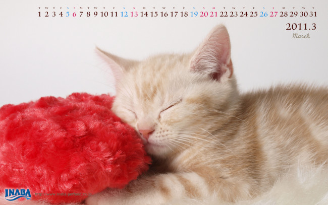 Обои картинки фото бренды, inaba