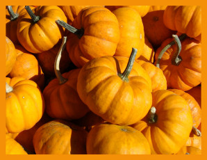 Картинка еда тыква желтые