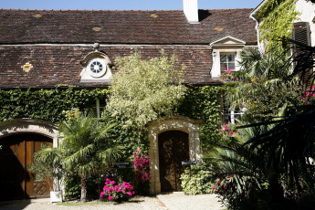 Картинка разное сооружения постройки дом цветы пальмы деревья