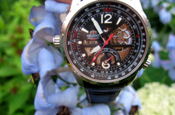 обоя бренды, orient, стрелки, цветы, часы