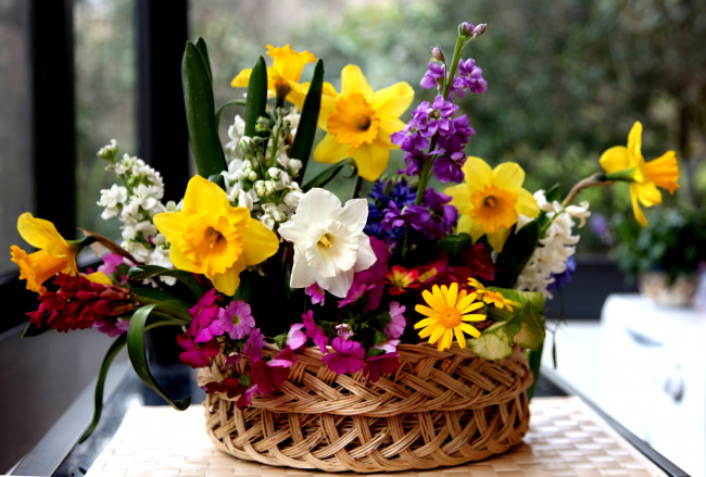 Обои картинки фото цветы, букеты, композиции, вербена, гиацинты, матиола, левкой, корзинка, нарциссы