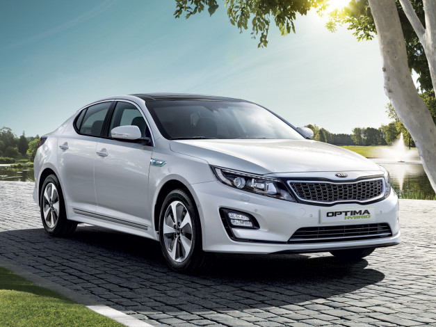 Обои картинки фото автомобили, kia, светлый, eu-spec, tf, 2014, hybrid, optima