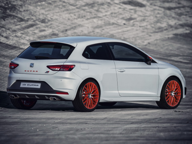 Обои картинки фото автомобили, seat, 2013, racer, cup, leon