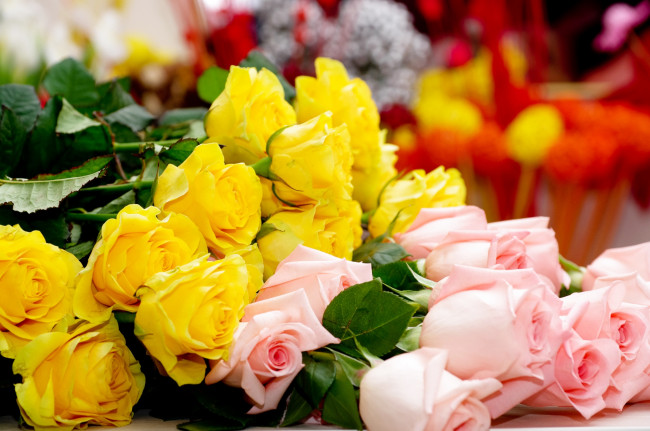 Обои картинки фото цветы, розы, охапка