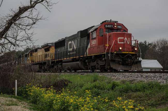 Обои картинки фото техника, поезда, вагоны, локомотив, дорога, железная